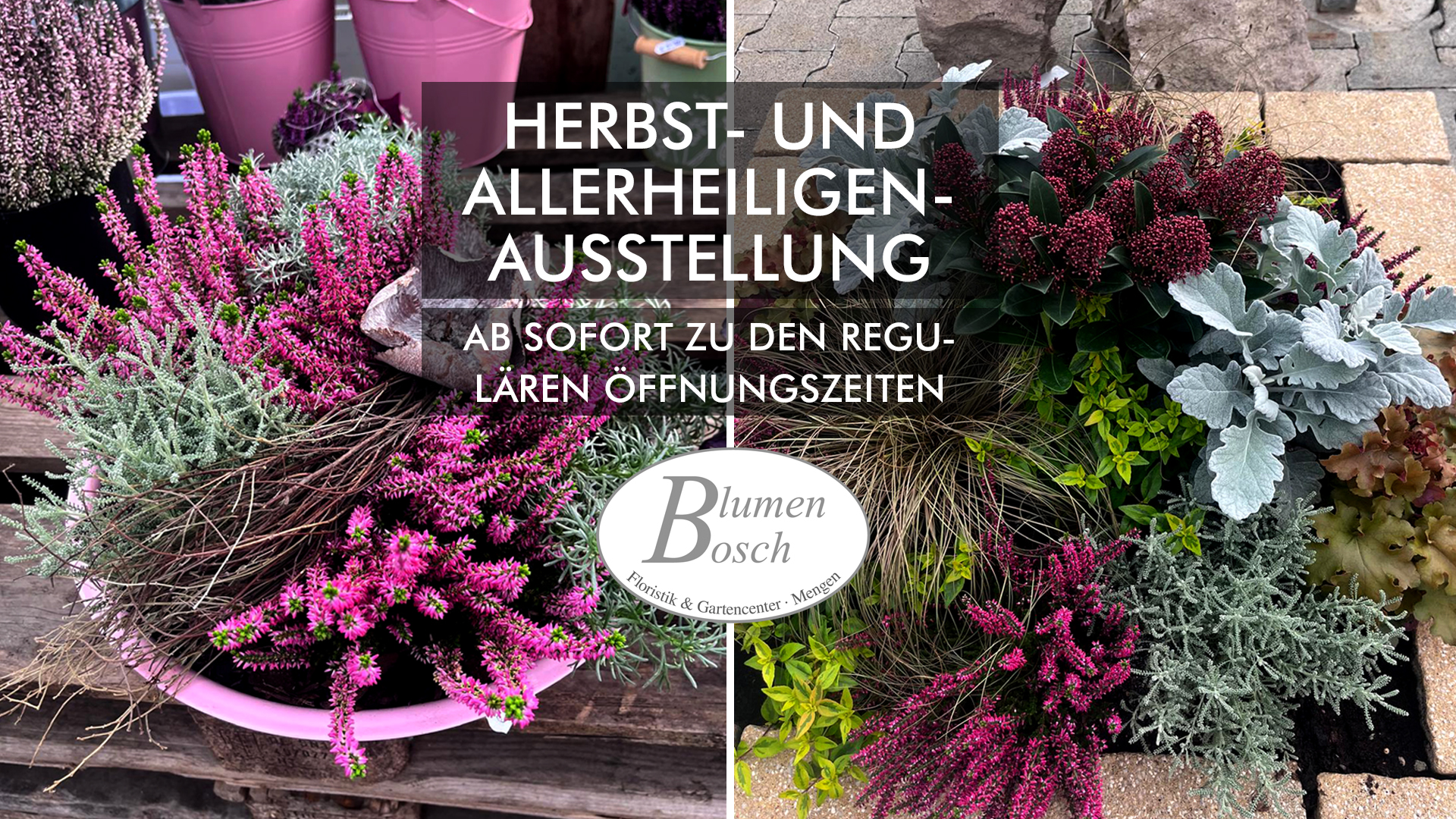 HERBST BEI BLUMEN BOSCH